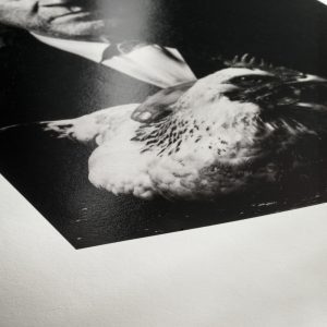 (c) Hahnemuhle website